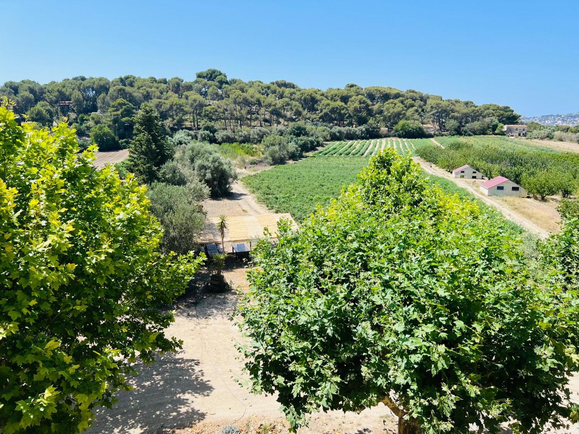 Appartements A La Ferme La Ciotat Bagian luar foto